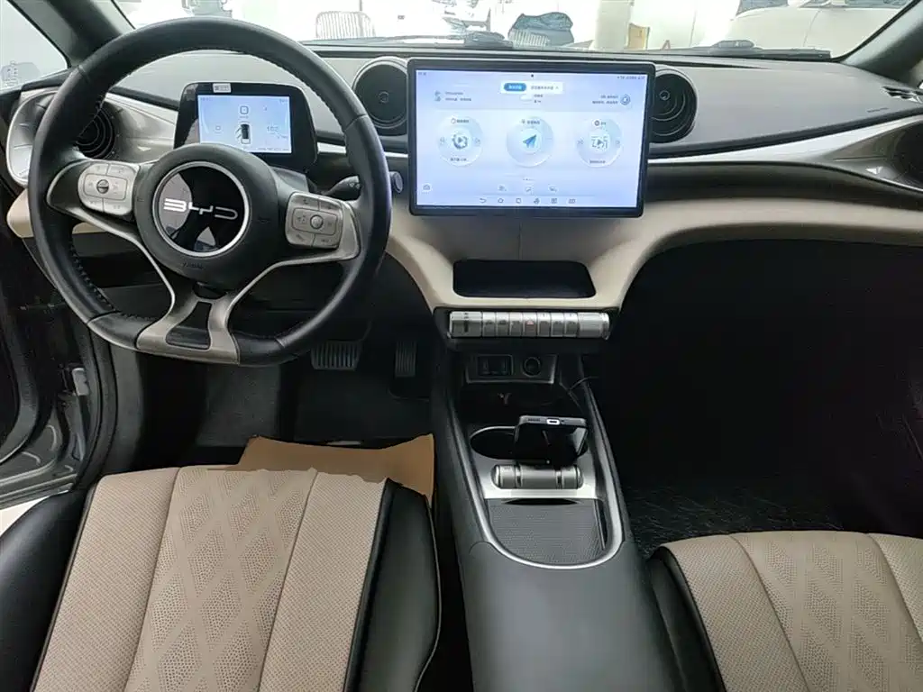 BYD Dolphin 2023 420km Freedom Edition фото 10