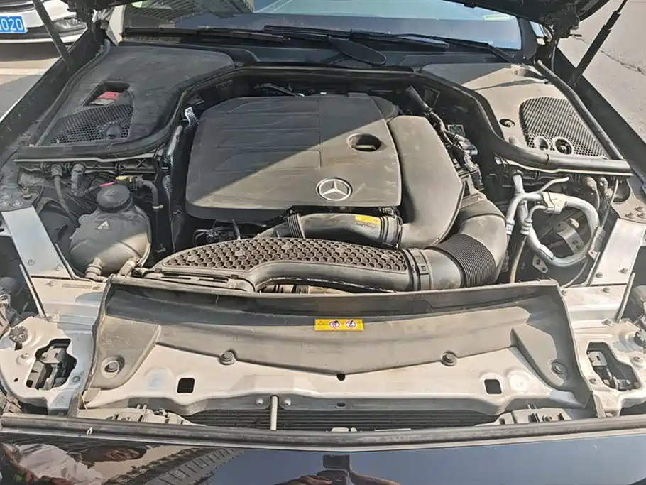 Mercedes-Benz E-Class 2023 Facelift E 300 L Luxury фото 10
