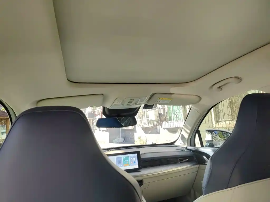 Roewe Whale 2022 2022 2.0T Blue Whale Edition