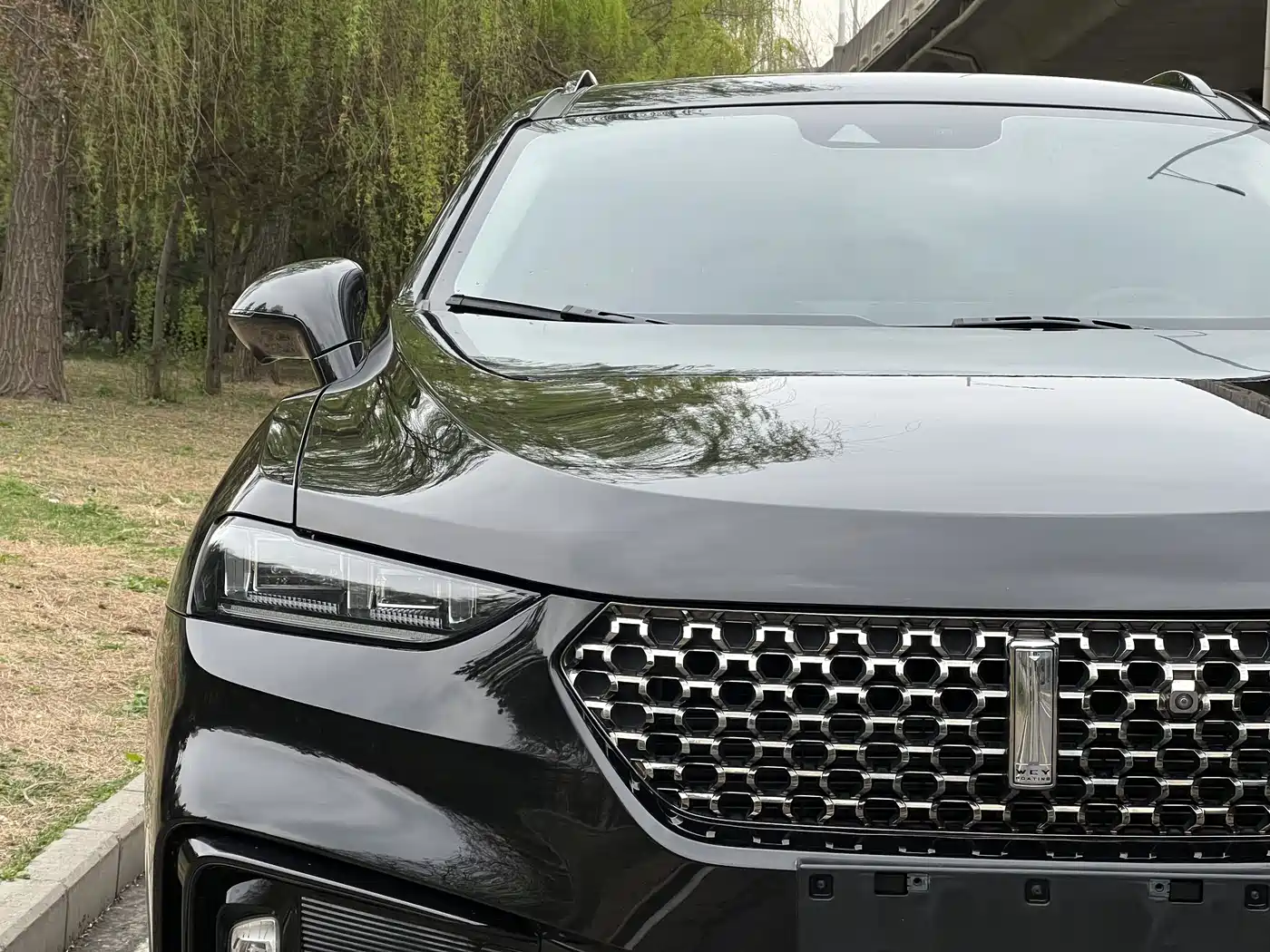 WEI PAI WEI BRAND VV7