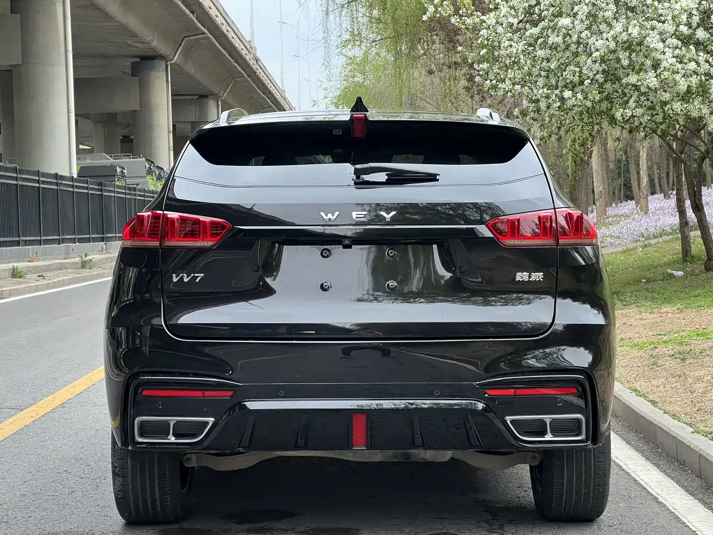 WEI PAI WEI BRAND VV7