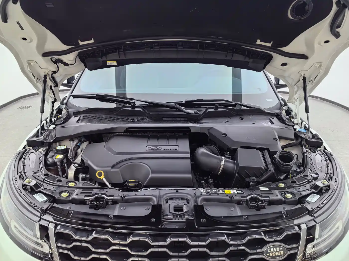 Land Rover Range Rover Evoque 2020 249PS R-DYNAMIC S Sport Edition фото 7
