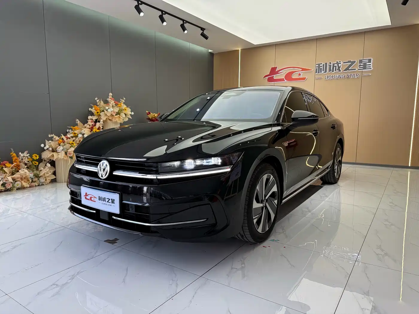 Volkswagen Magotan 2024 300TSI DSG Premium Edition (Eye-catching Package)