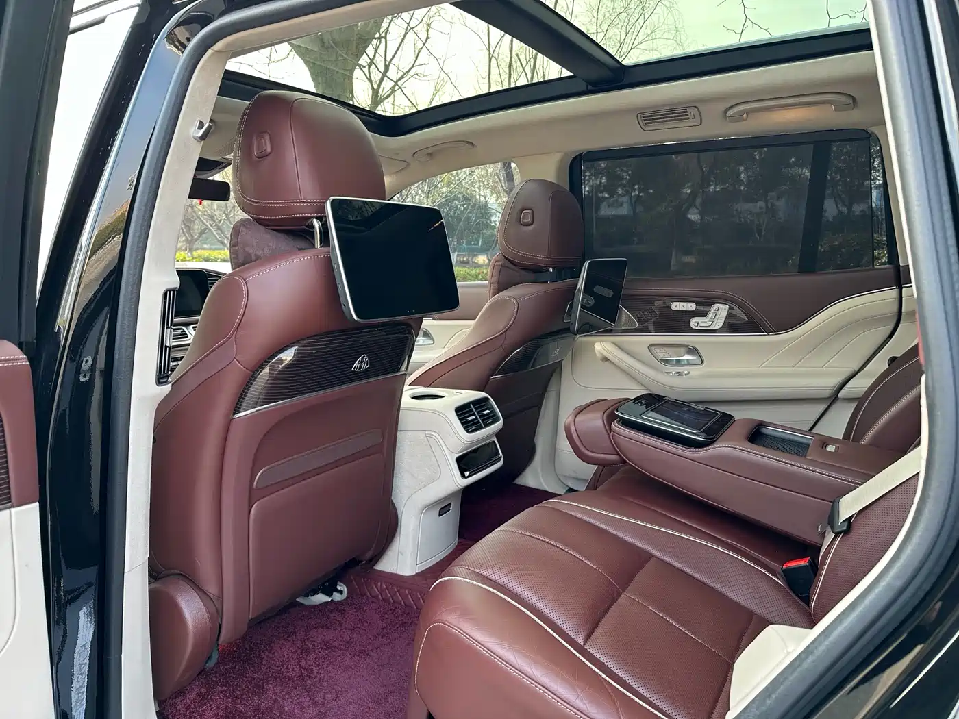 Mercedes-Benz Maybach GLS 2022 GLS 480 4MATIC фото 13