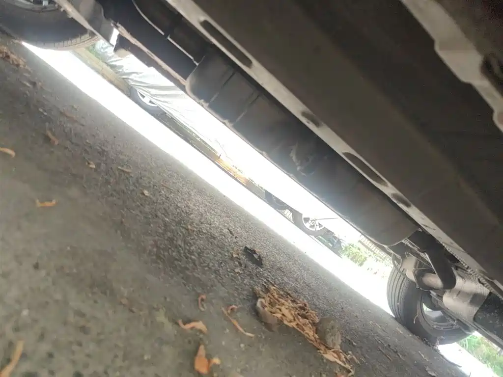 Bisu Auto Bisu T3 2019 2017 1.3T Manual Premium