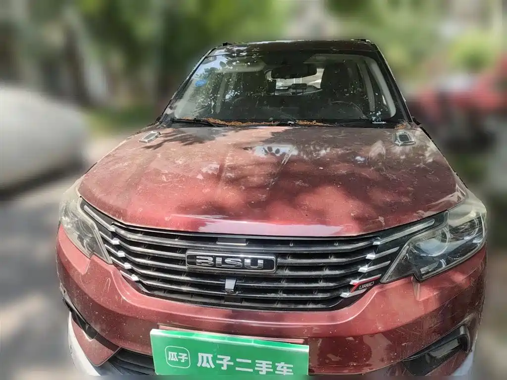 Bisu Auto Bisu T3 2019 2017 1.3T Manual Premium