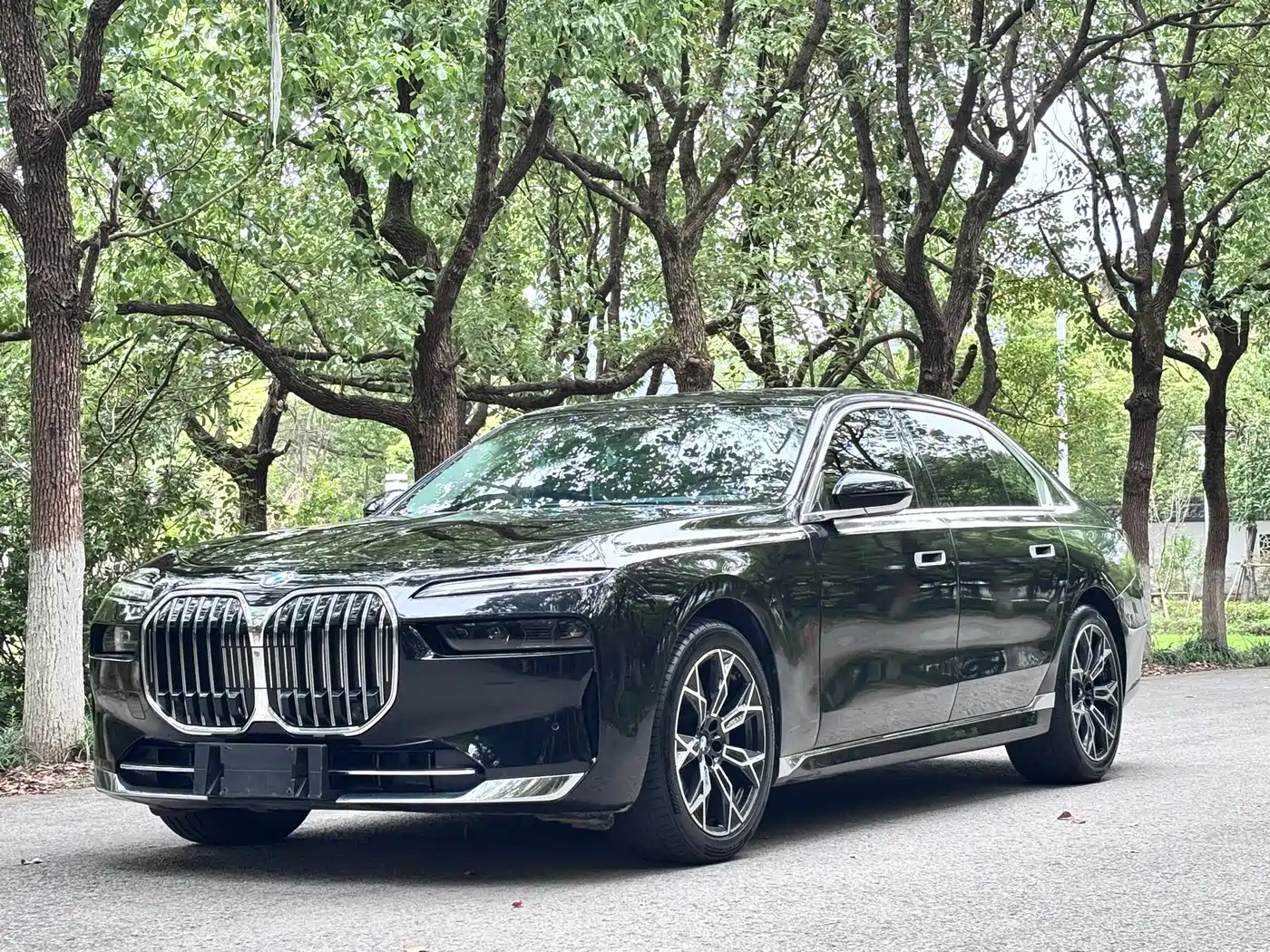 BMW 7 Series 2023 2023 Model 735Li Luxury Package