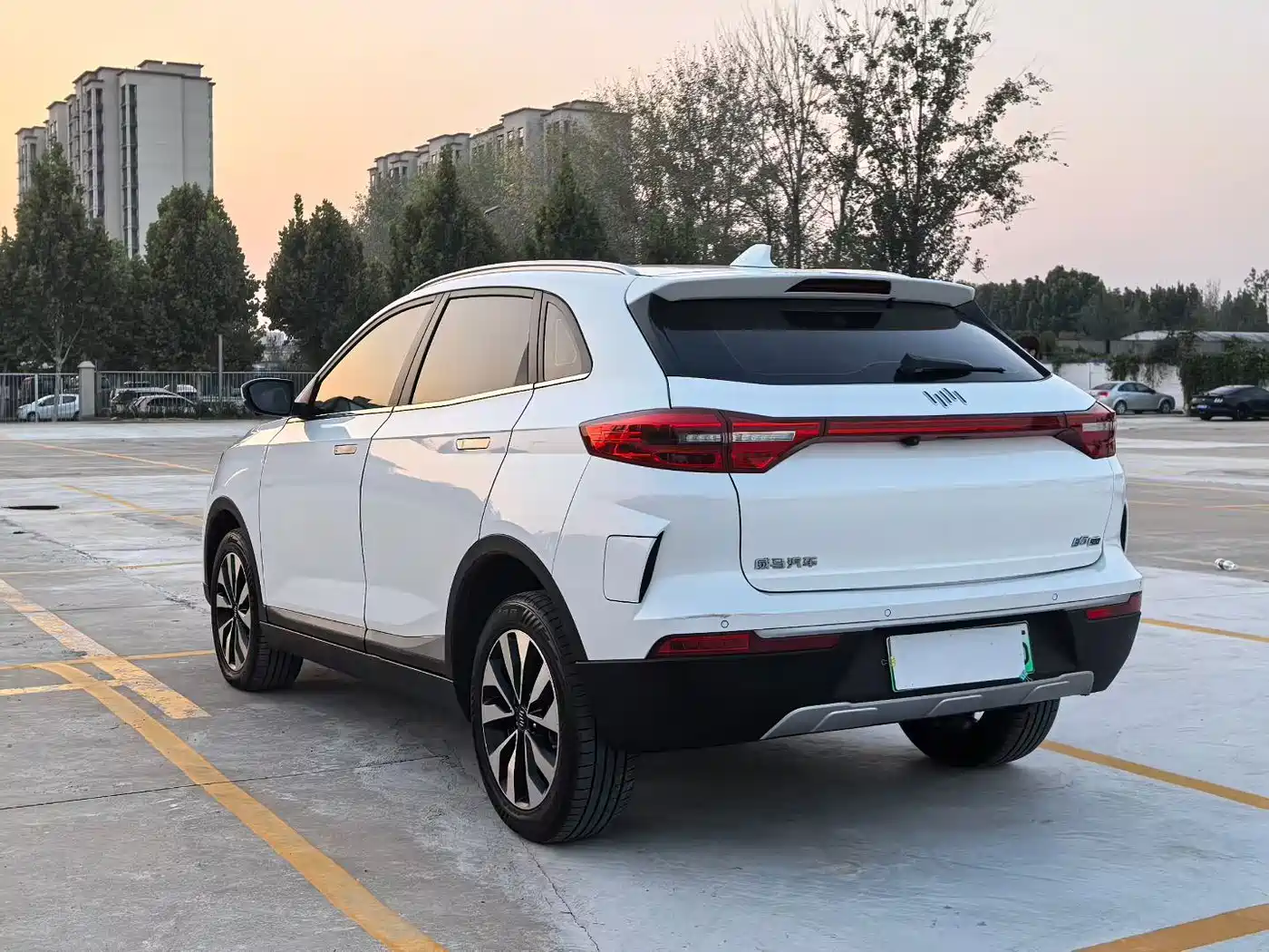 Weltmeister EX5 2019 2018 EX5 400 Extra Innovation Edition