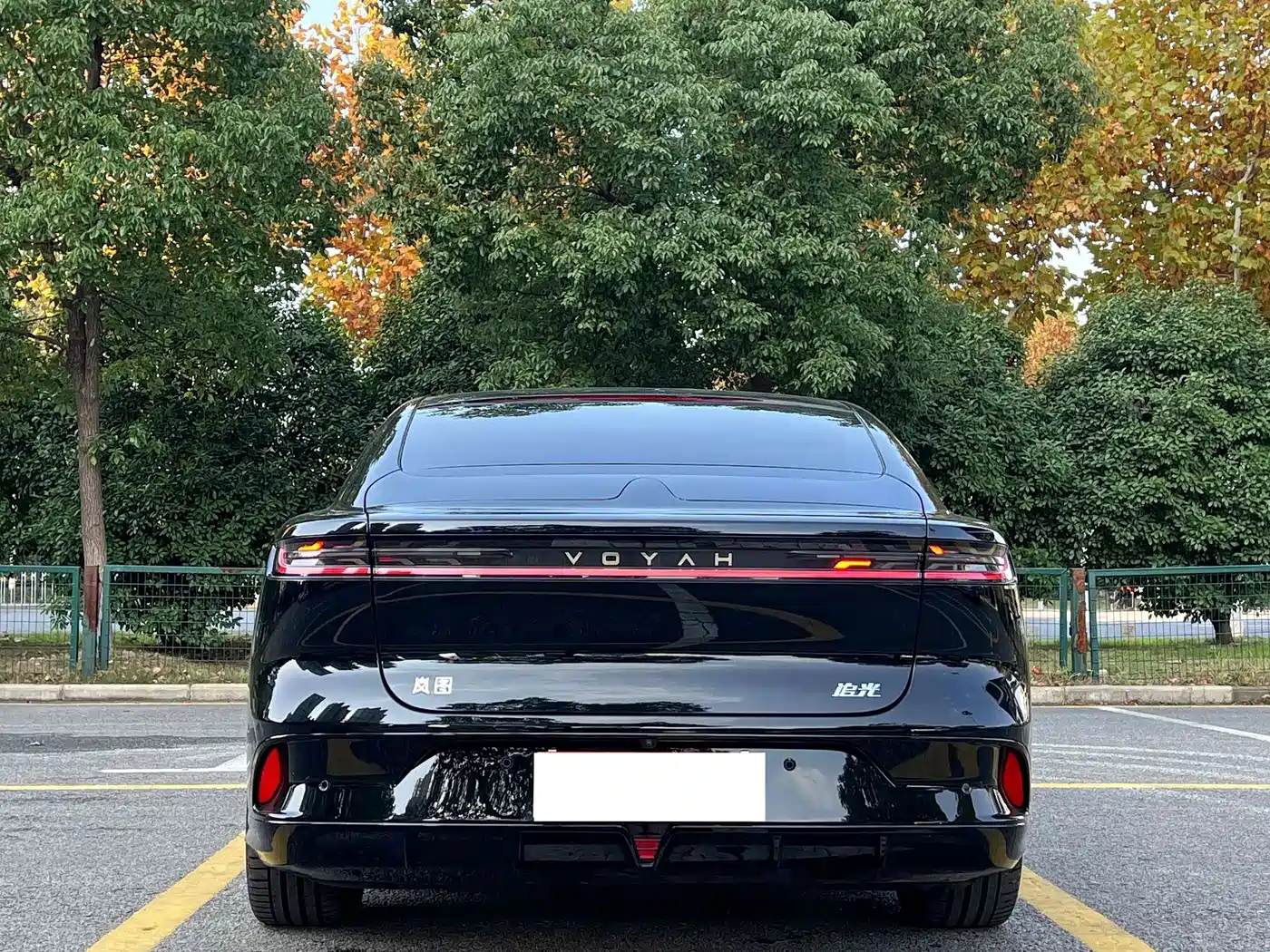 Voyah Passion 2024 2023 4WD Flagship Edition