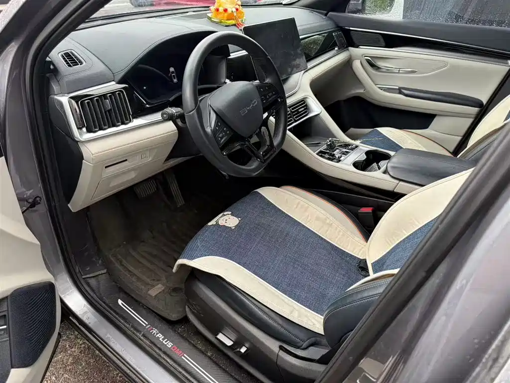 BYD SONGJIANG NEW ENERGY