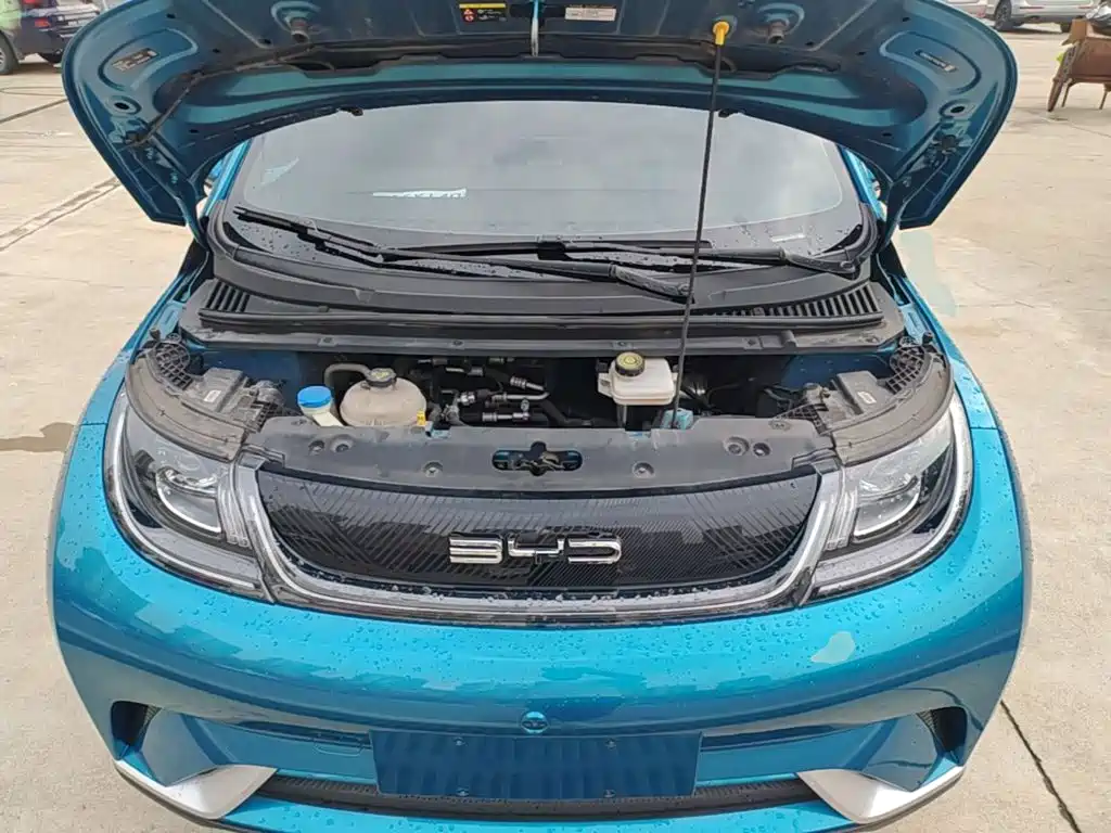 Фото 20 - BYD Dolphin