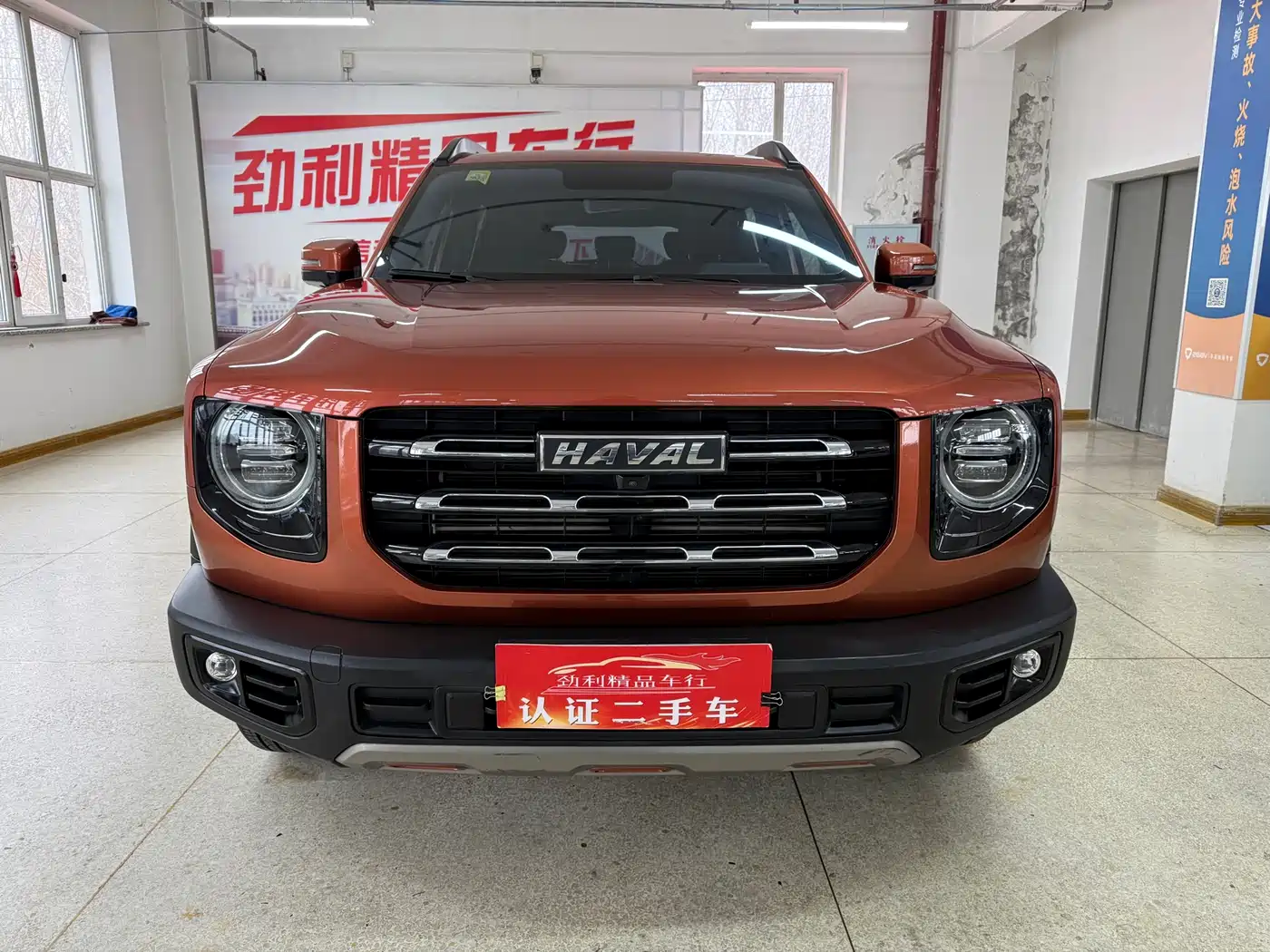 Haval Big Dog 2021 1.5T DCT 2WD Labrador Edition фото 2