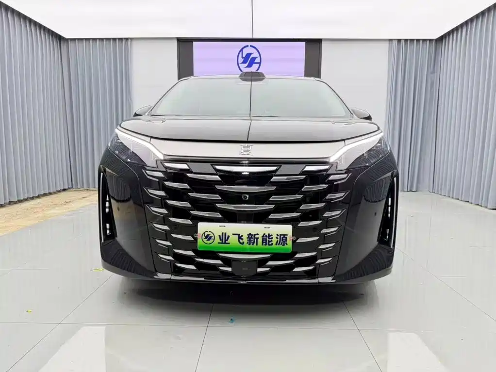 Photo 2 - BYD Xia