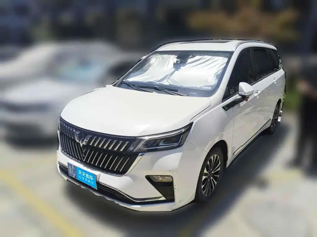 Wuling Motors Wuling Jiachen 2022 2022 1.5T CVT Exclusive Flagship Model