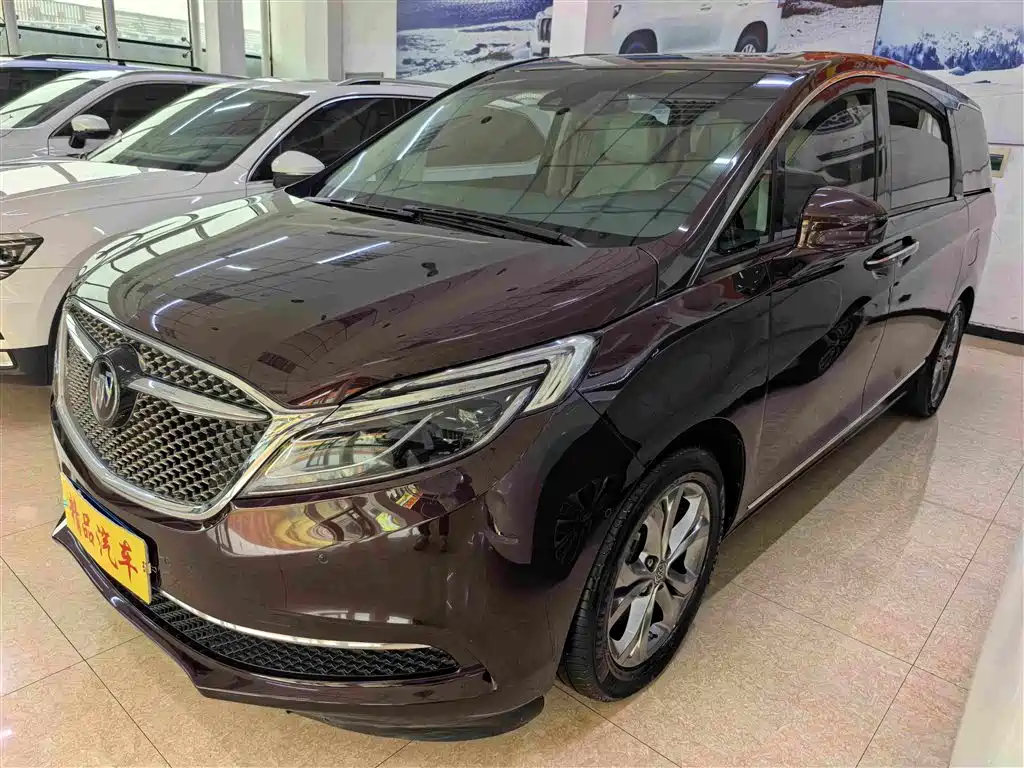 Фото 1 - Buick GL8