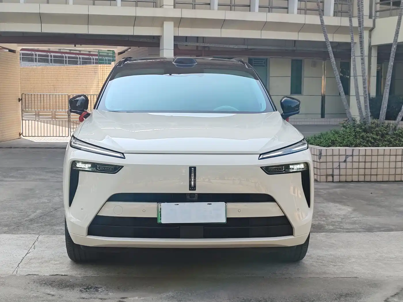 WEI PAI WEI BRAND BLUE MOUNTAIN