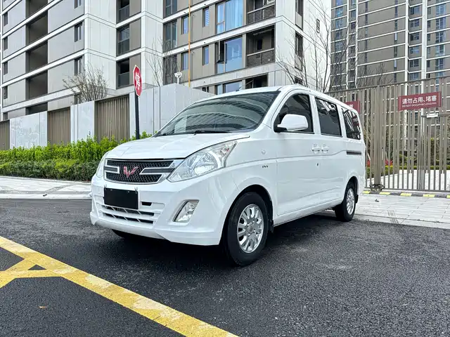 WULING WULING RONGGUANG V