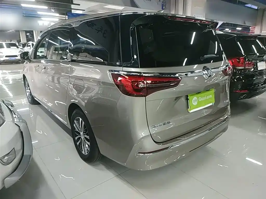 Buick GL8 2023 ES Landmaster Exclusive фото 5