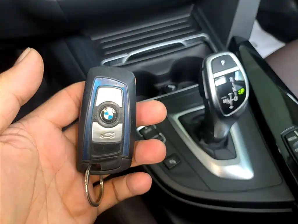 BMW 3 Series 2018 320Li Leading M Sport Package фото 9