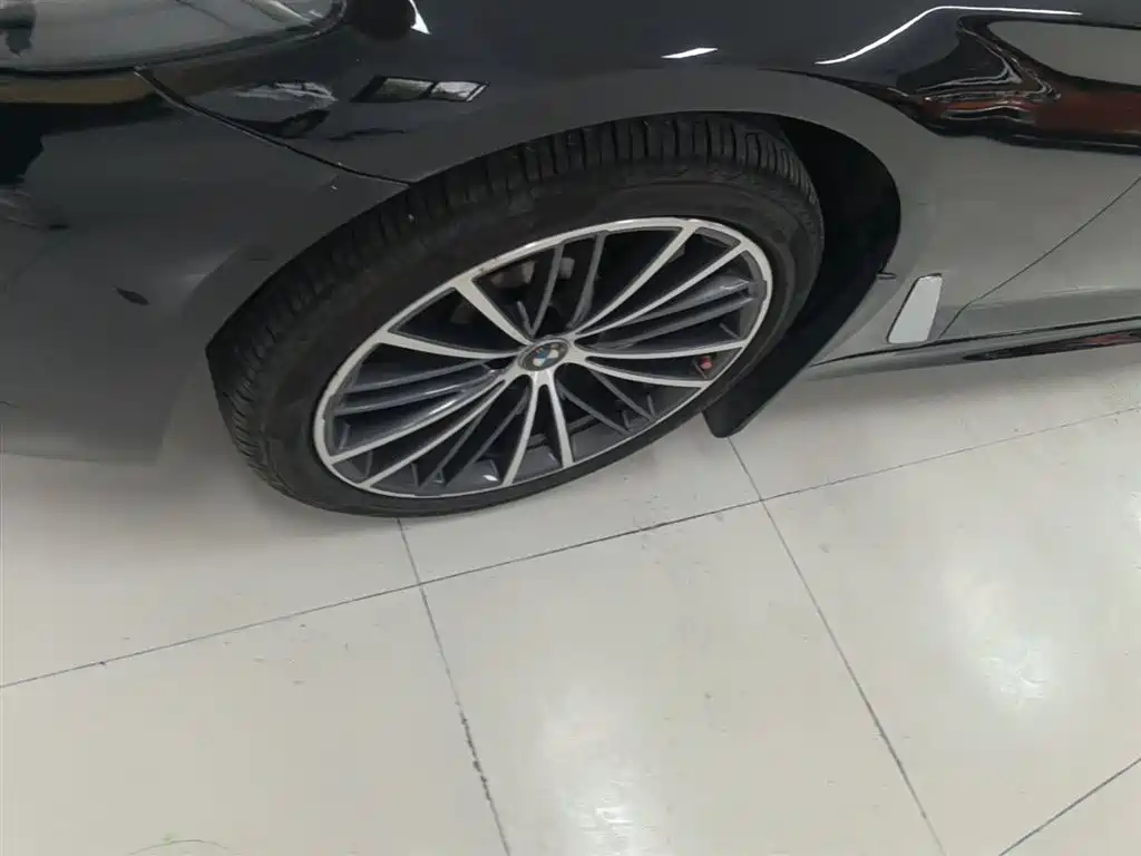 BMW 5 Series 2023 530Li Leading M Sport Package фото 23