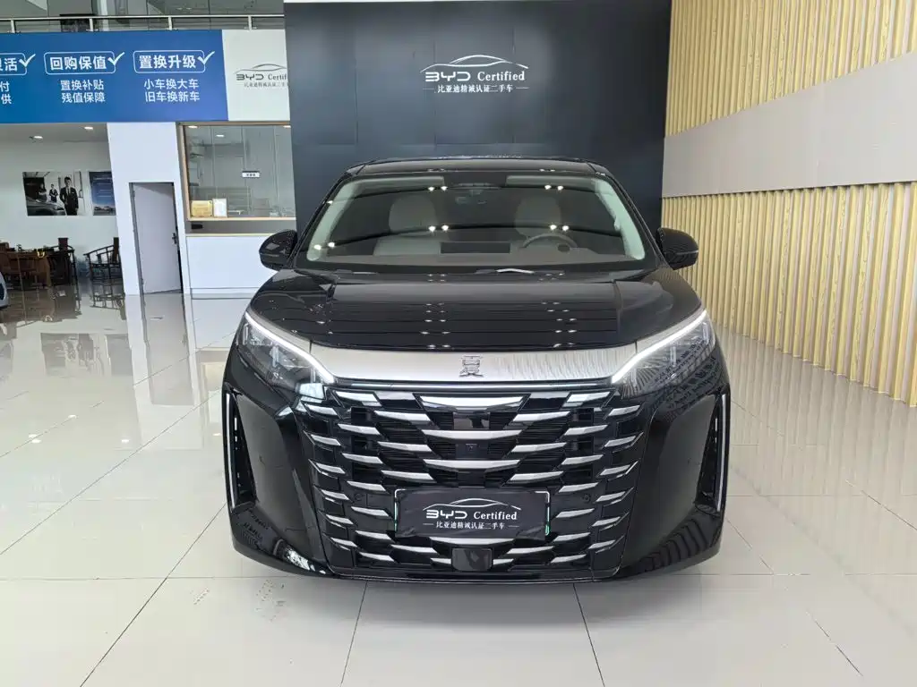 2025 BYD Xia
