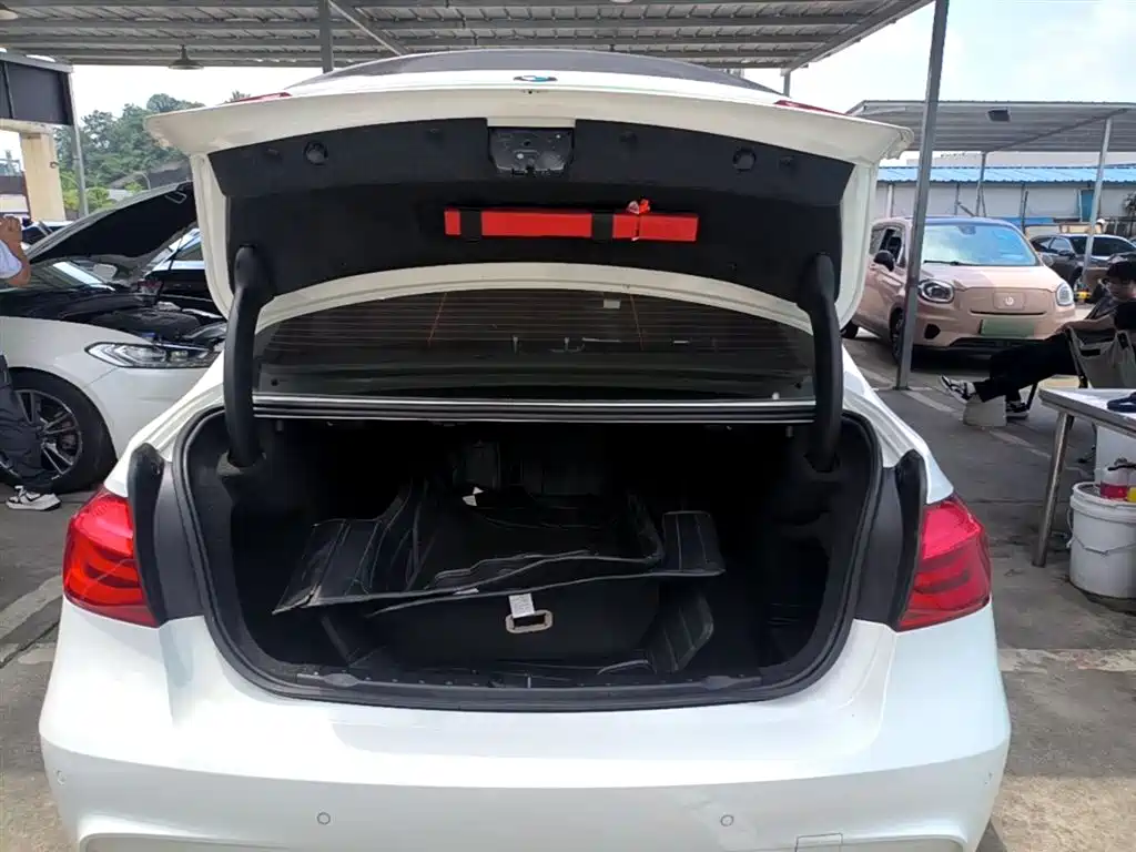 BMW 3 Series 2018 320Li Leading M Sport Package фото 19