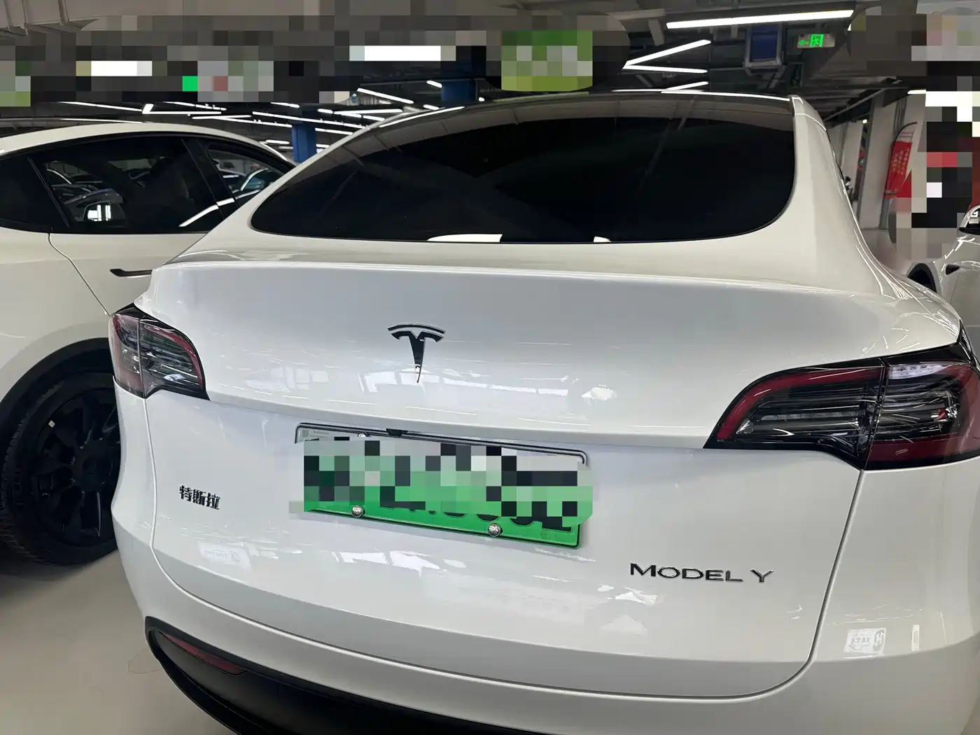 TESLA MODEL Y