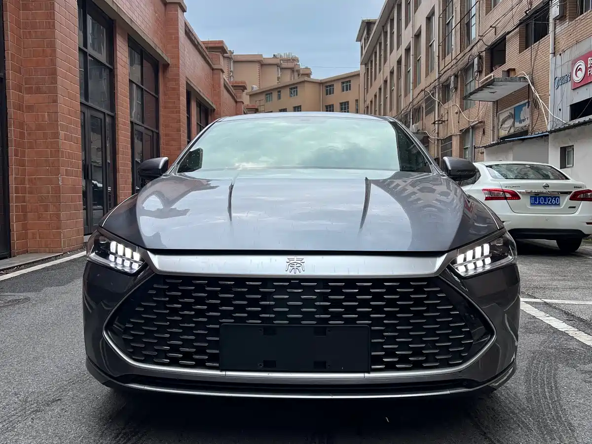 BYD Qin PLUS 2023 Champion Edition DM-i 55KM Leading фото 3