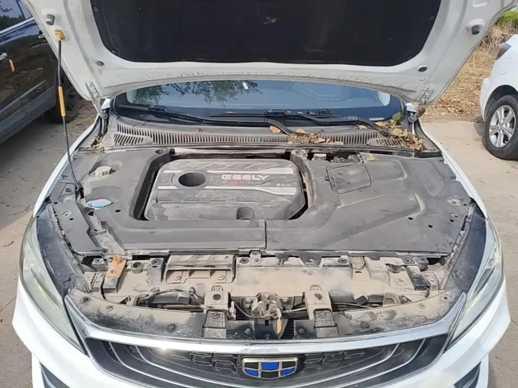 Geely Binrui 2019 2018 1.4T CVT Binzhi Edition