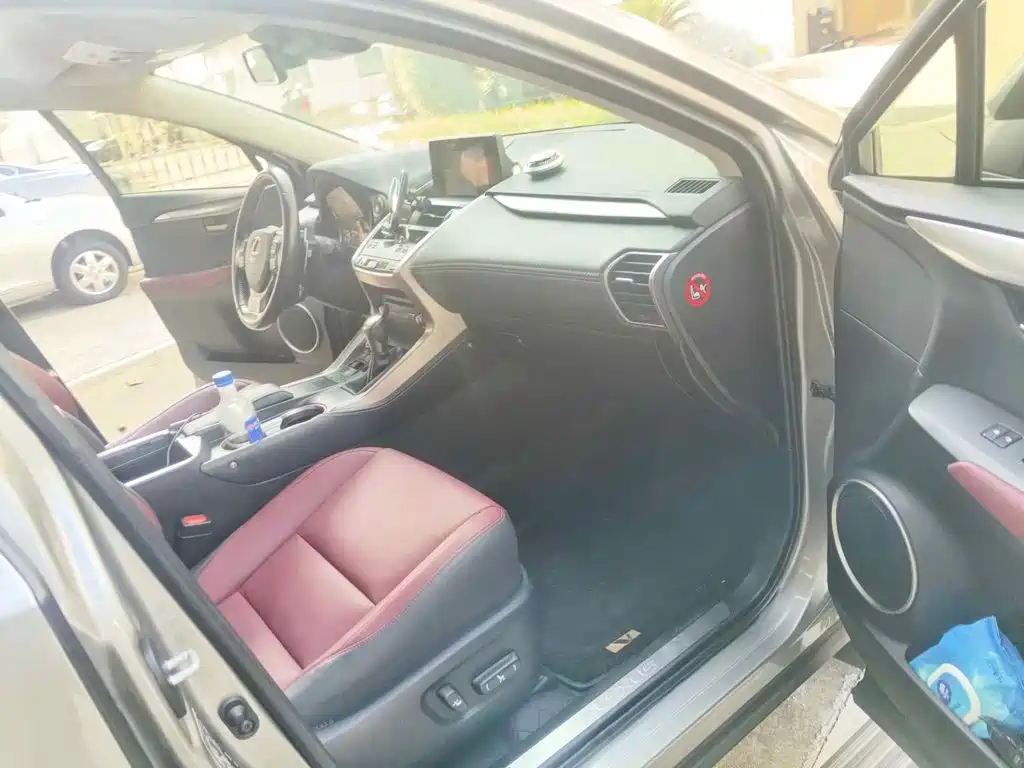 صورة 12 - Lexus NX