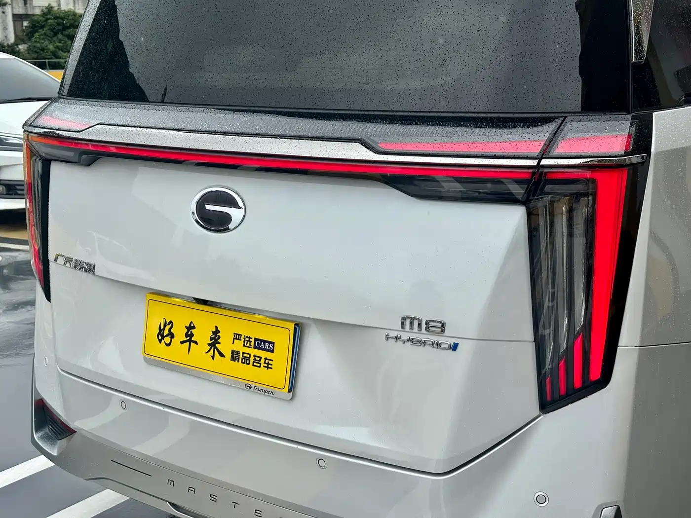 GAC Trumpchi Trumpchi M8 2023 Model Master Series Hybrid Royal Edition фото 20