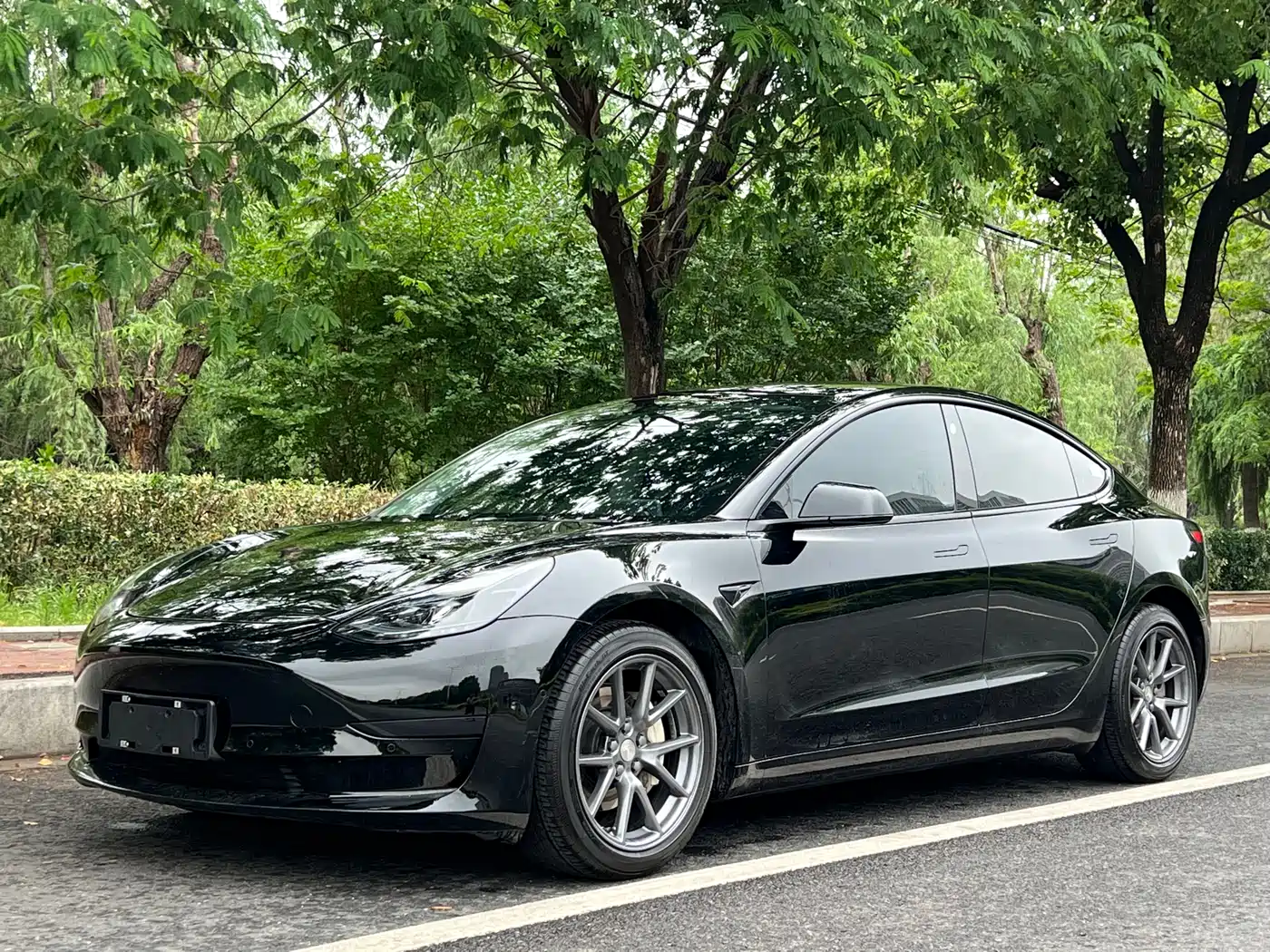 Tesla Model 3 2022 Model Rear-Wheel Drive Version
