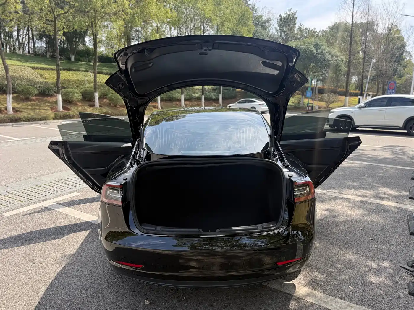 TESLA MODEL 3