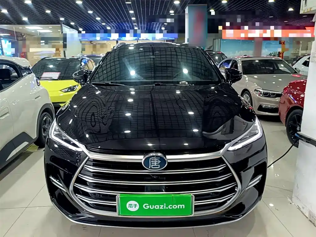 BYD Tang New Energy 2021 DM 2.0T AWD High Performance Premium фото 3