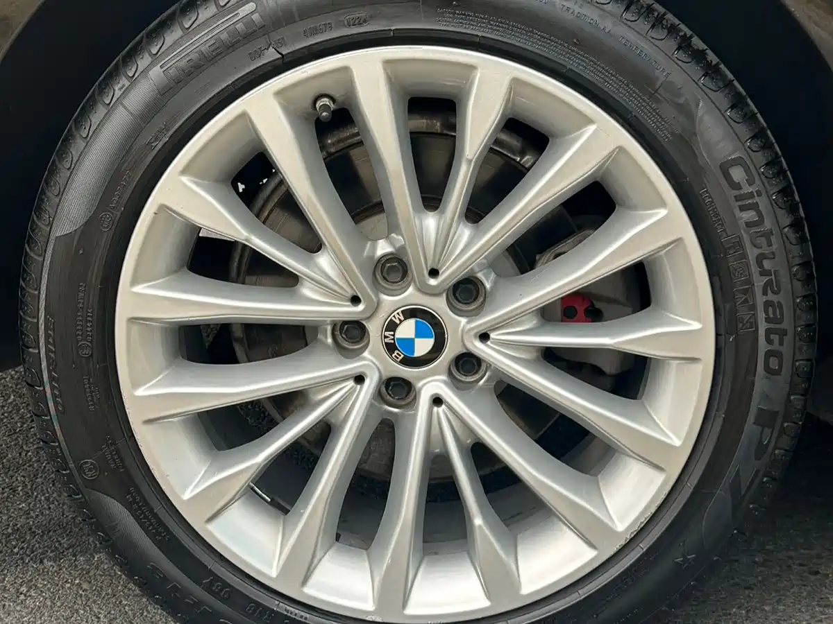 BMW 5 Series 2020 530Li Leading Luxury Package фото 18