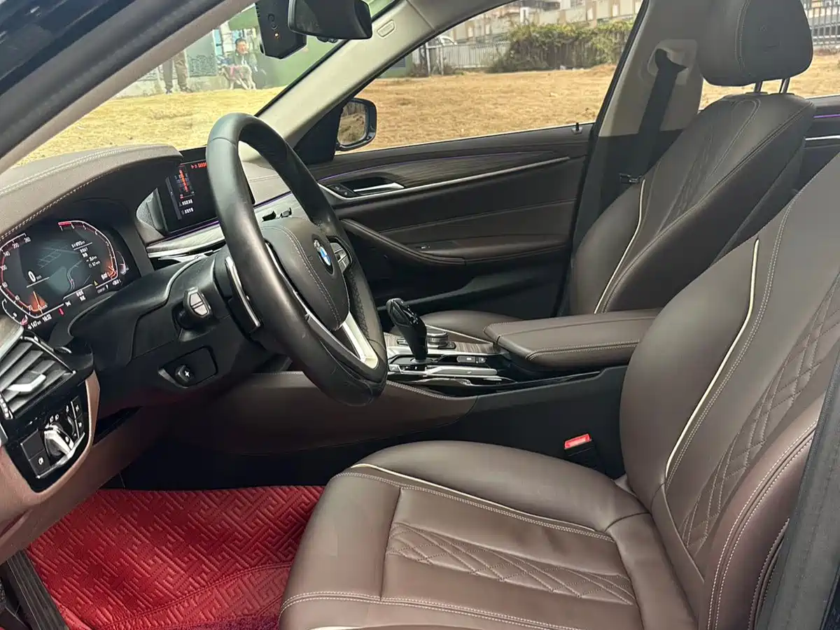 BMW 5 Series 2020 530Li Leading Luxury Package фото 11