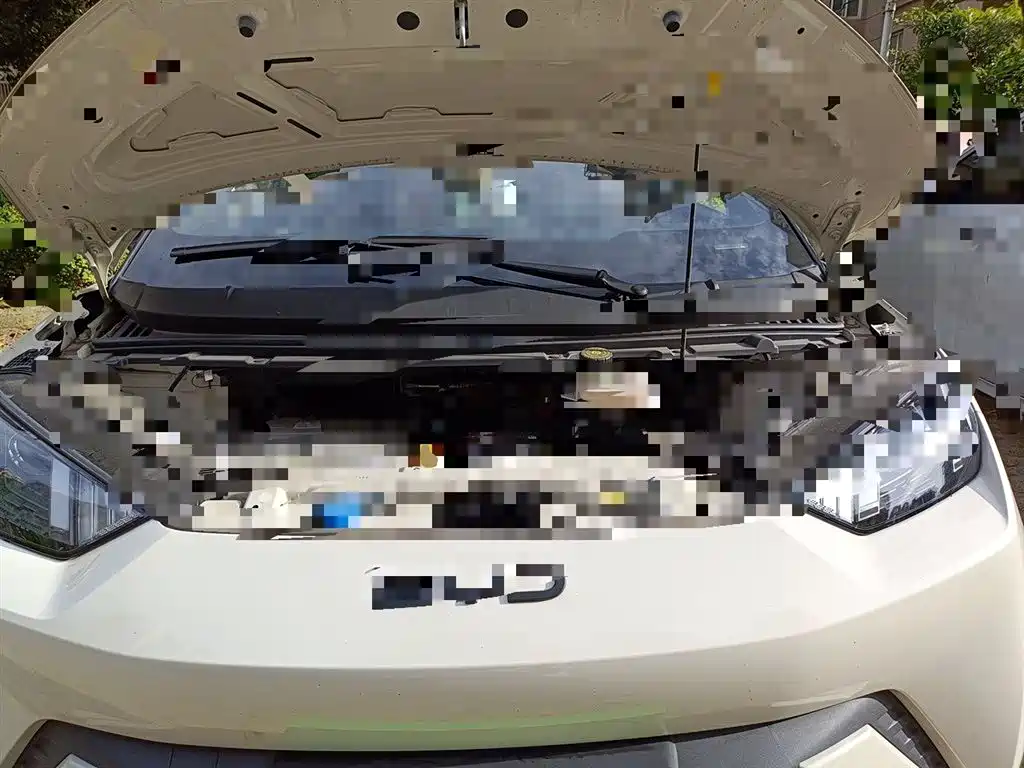 BYD Seagull 2024 Glory Edition 305km Vitality Edition фото 16