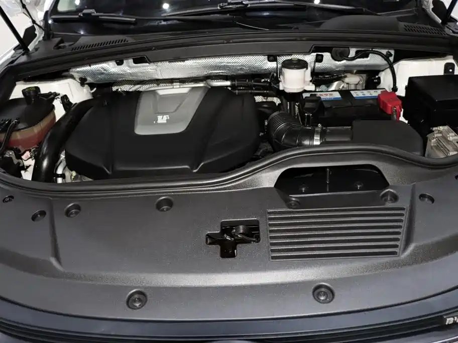 BYD Tang 2018 2.0T Automatic Smart Connection Noble Edition 7-Seater China V фото 20