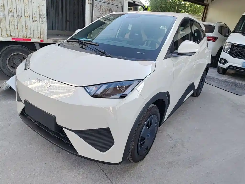 BYD Seagull 2025 Smart Drive Edition 305km Vitality Version