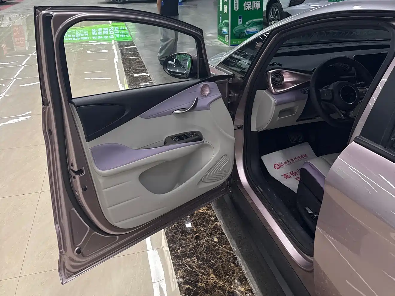 BYD Dolphin 2022 2021 401km Knight Edition