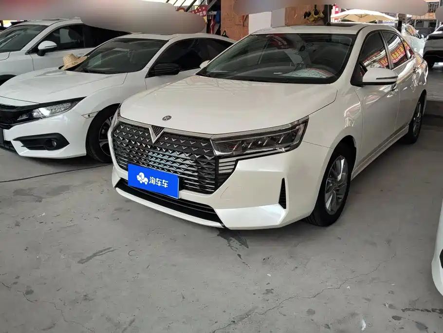 2023 Venucia D60