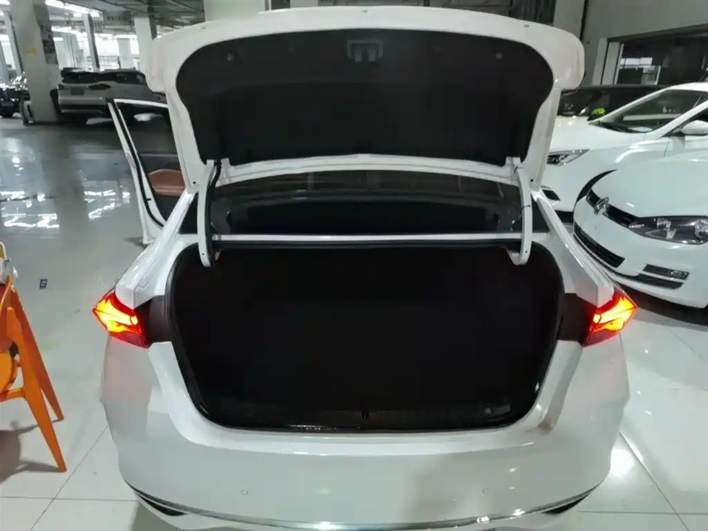 BUICK WEILANG