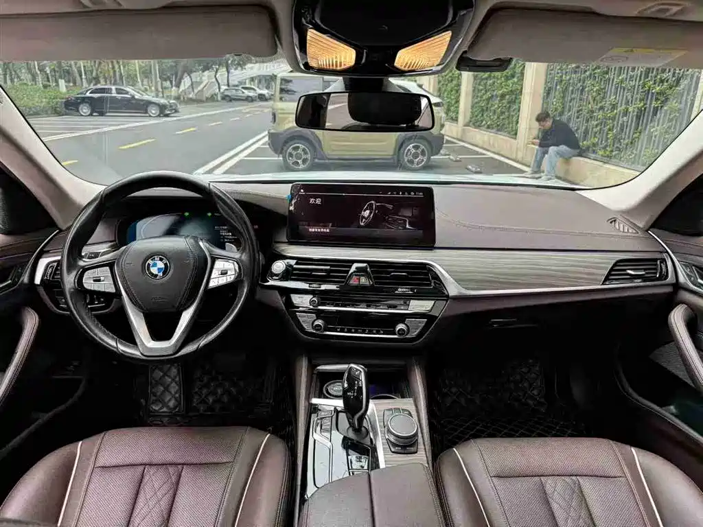 BMW 5 Series 2021 530Li Leading Luxury Package фото 7