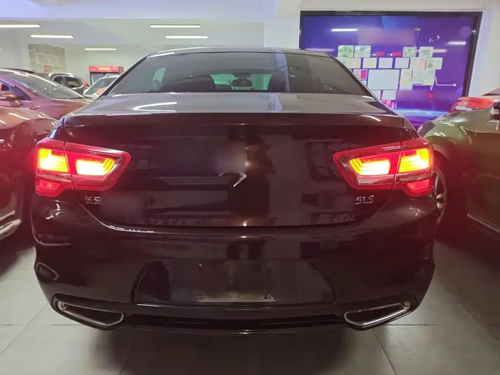 Фото 6 - DS 5LS