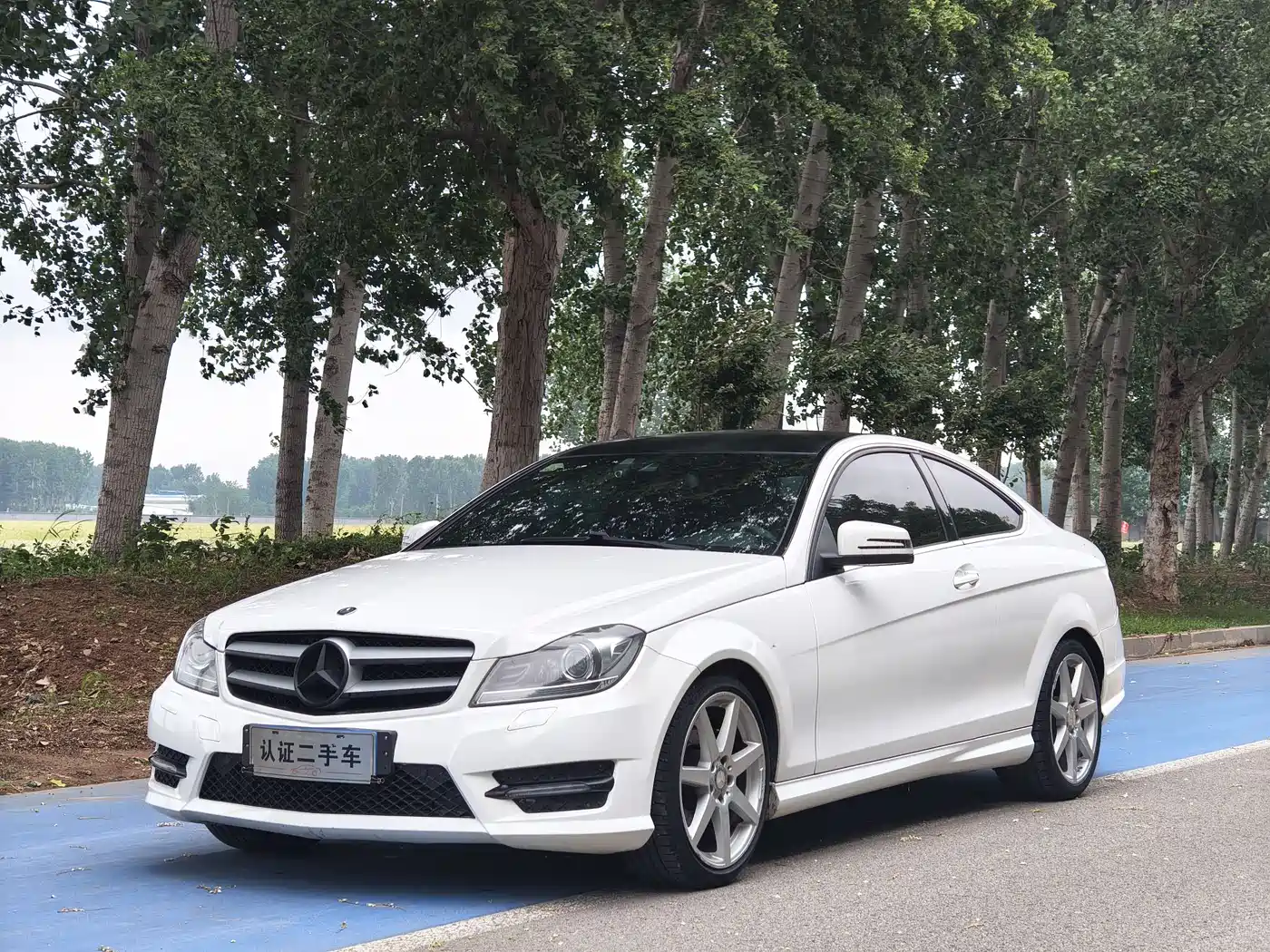 Mercedes-Benz C-Class (Import) 2013 C 180 Coupe