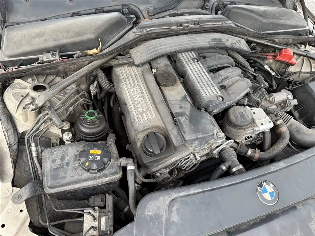 BMW 5 Series 2010 520Li Leading фото 15