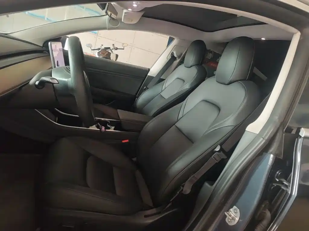Tesla Model 3 2020 2020 Standard Range Rear-Wheel Drive Upgrade