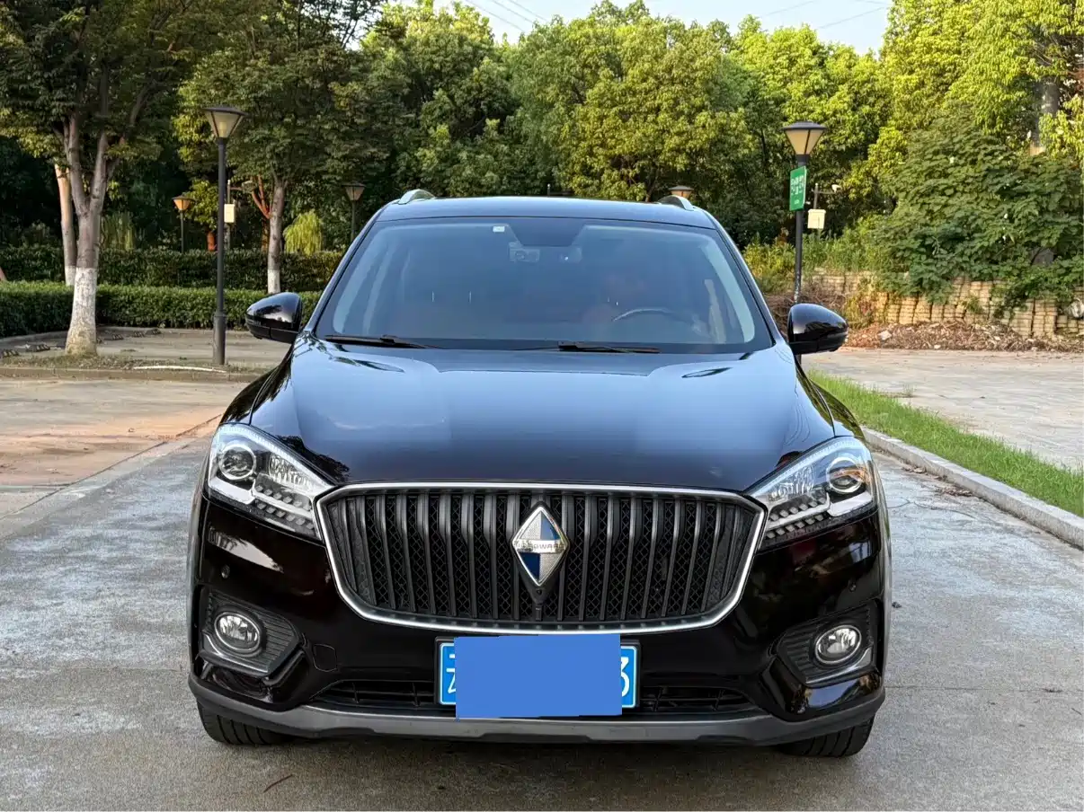 Фото 2 - Borgward BX7