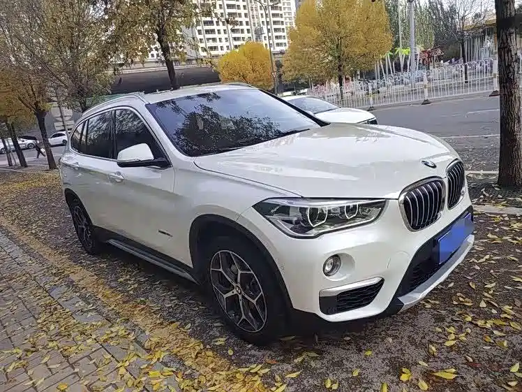 BMW X1 2018 xDrive20Li Premium Model фото 3