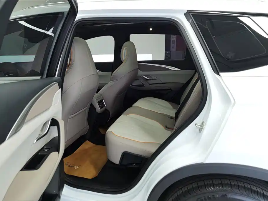BYD Song Pro New Energy 2024 Glory Edition DM-i 110KM Surpassing фото 11